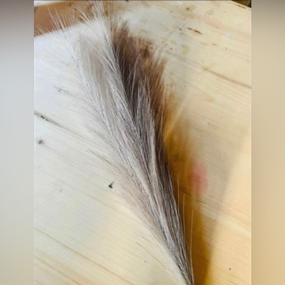 *Pampas Grass Pick, 28”, Bundle of 3 - Picture 7 of 10